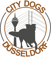 City Dogs Düsseldorf